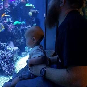 Meet your Posher, Patrick